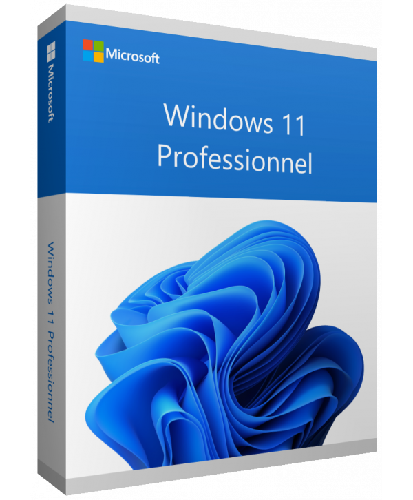 Windows 11 Professionnel 64Bits Oem ( Sans support d'installation)