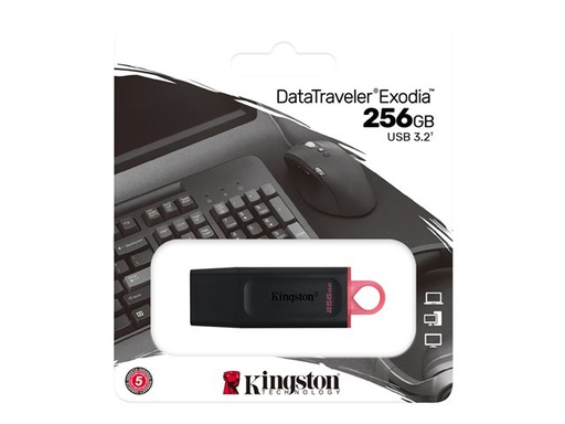 [DTX/256GB] Cle USB 256Go Kingston Exodia DTX/256Gb USB3.2