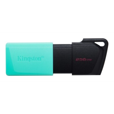 [DTXM/256GB] Cle USB 256Go Kingston Exodia M 256Gb USB3.2 (Turquoise/Noir)